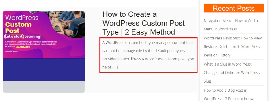 WordPress Excerpt