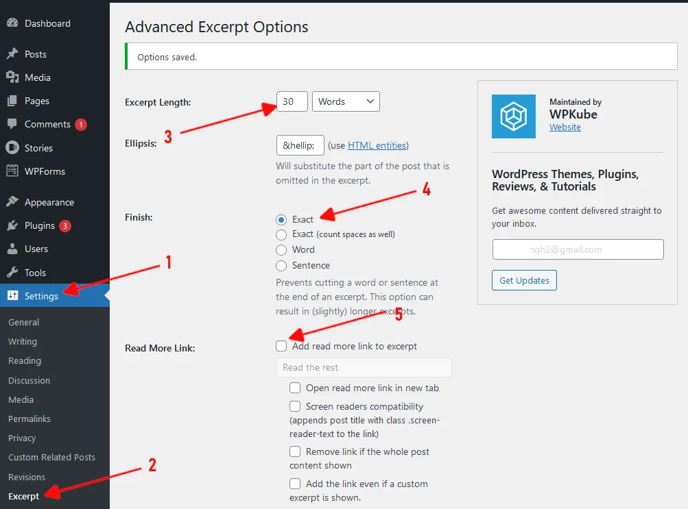 WordPress Excerpt