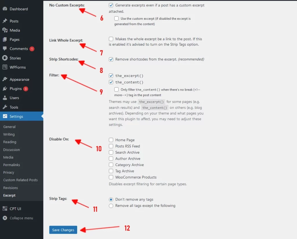 WordPress Excerpt