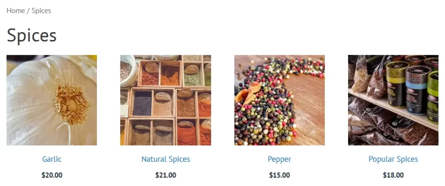 How to Add Short Description in WooCommerce Shop Page