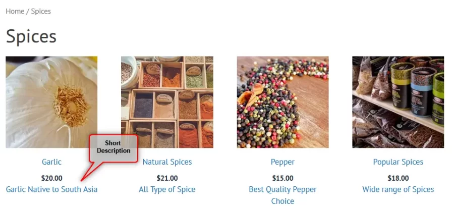 How to Add Short Description in WooCommerce Shop Page