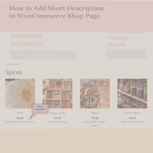 How to Add Short Description in WooCommerce Shop Page
