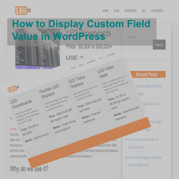 How to Display Custom Field Value in WordPress
