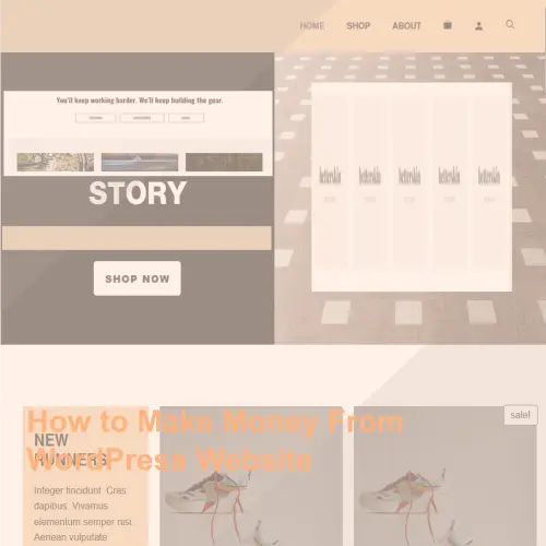 How to Make Money From WordPress Website