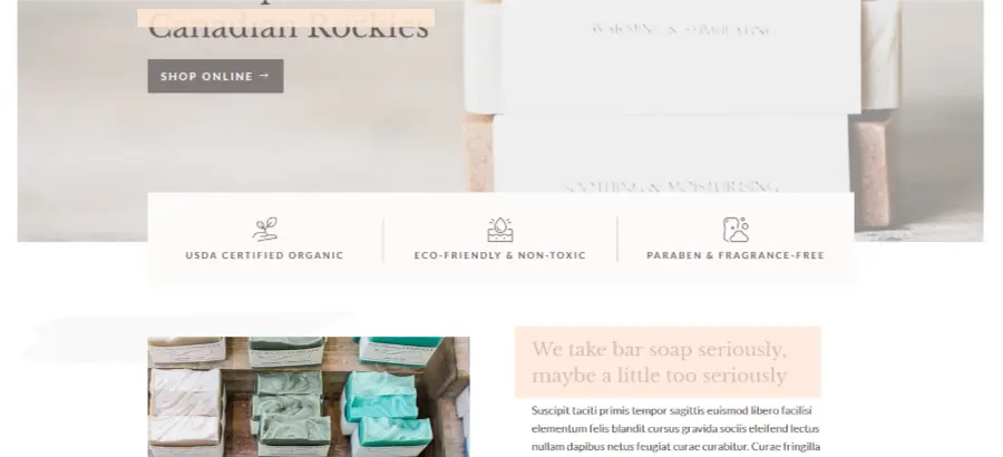 How to Make Money From WordPress Website