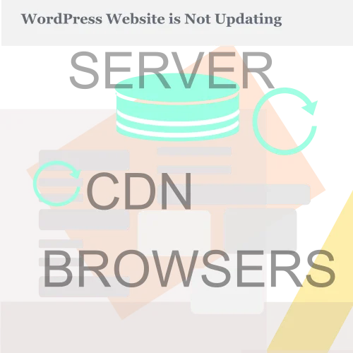 My WordPress Website is Not Updating: Cause and Solutions