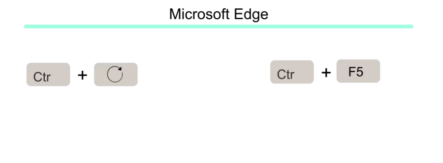 My WordPress Website is Not Updating
